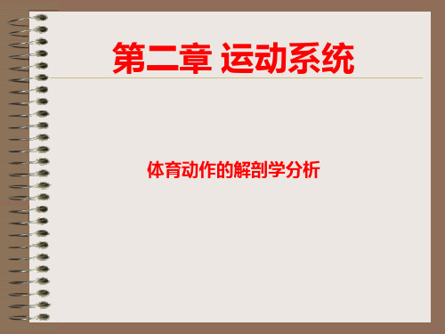 运动动作的解剖学分析-辽宁资源共享课课件