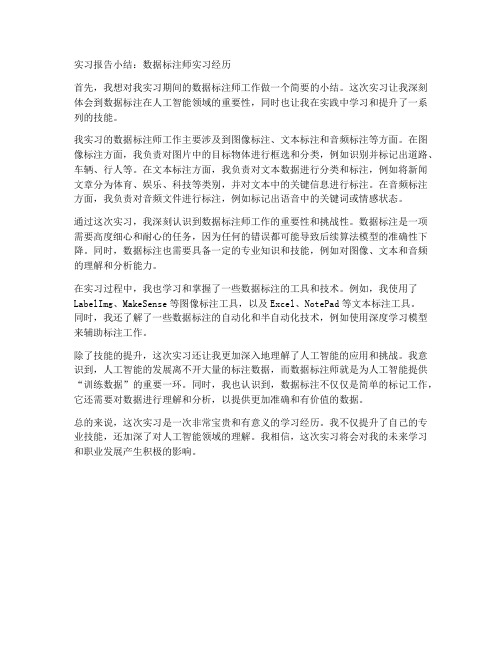 数据标注师实习报告小结