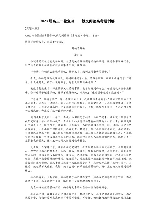 2023届高考语文复习-散文阅读高考简答题例解