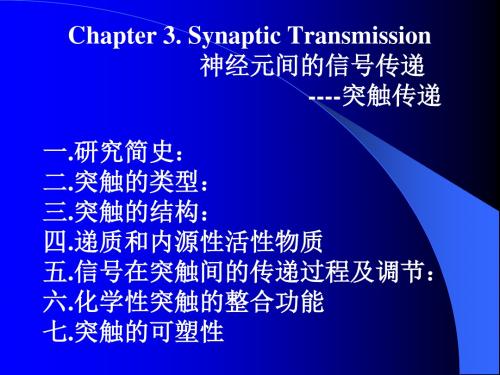 神经生物学课件chapter3