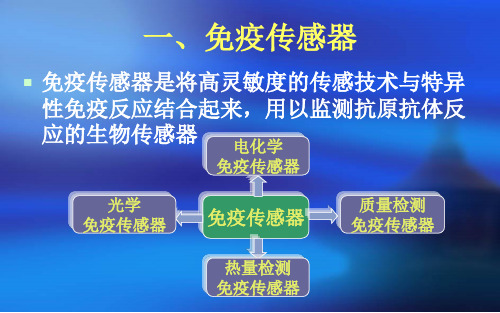 电化学免疫传感器简介ppt课件