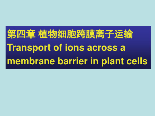 中国农业大学植物生理学本科课件 第四章 植物细胞跨膜离子运输机制