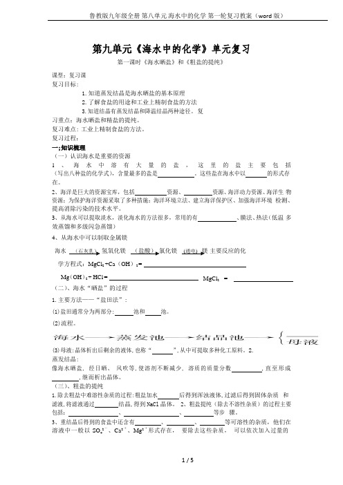 鲁教版九年级全册 第八单元 海水中的化学 第一轮复习教案(word版)