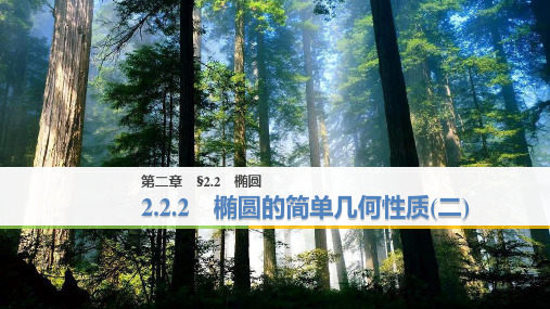 人教A版高中数学选修2-1《2.2.2椭圆的简单几何性质(二)》课件