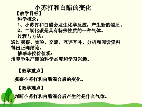小学六年级下册 - 小苏打和白醋的变化 教科版 ppt(9张)