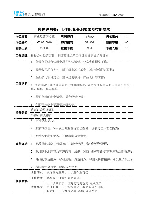 商业运营副总监岗位说明书工作职责和任职要求