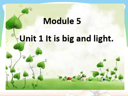 新外研版五年级英语下册Module 5 Unit 1 It is big and light 课件2.ppt