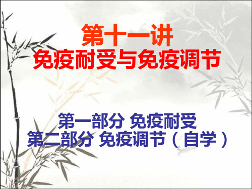 免疫耐受与免疫调节 PPT