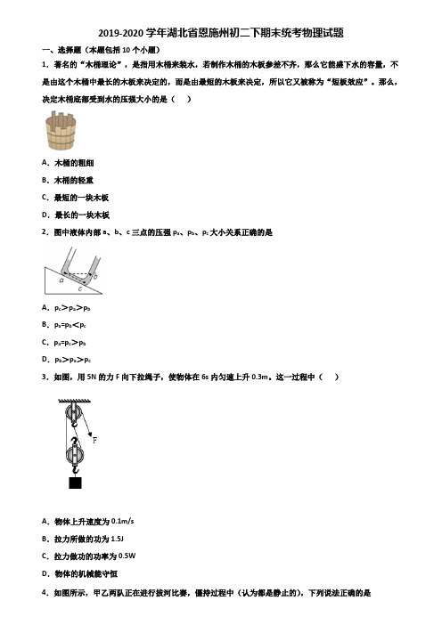 2019-2020学年湖北省恩施州初二下期末统考物理试题含解析