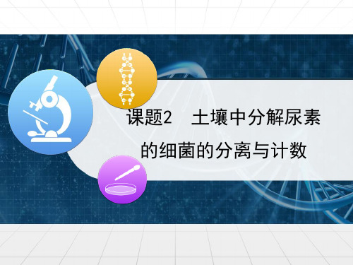 人教版高中生物选修1-2.2《土壤中分解尿素的细菌的分离与计数》精品课件