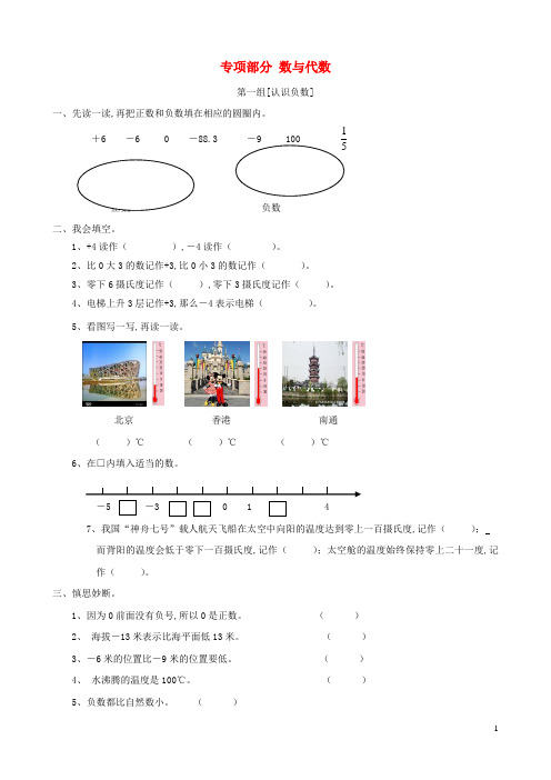 五年级数学上册专项复习数与代数苏教版