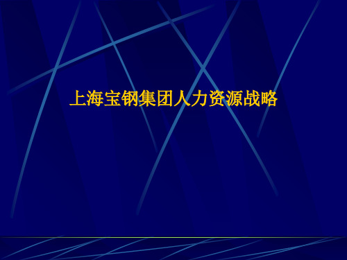 上海宝钢集团人力资源