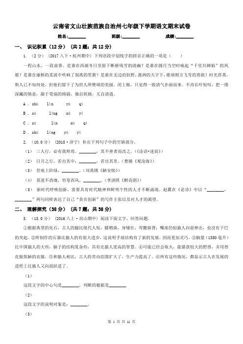 云南省文山壮族苗族自治州七年级下学期语文期末试卷