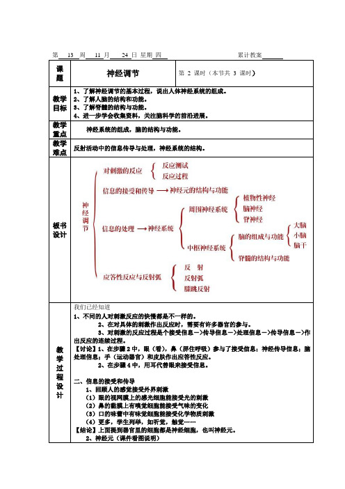 3.3神经调节第二课时