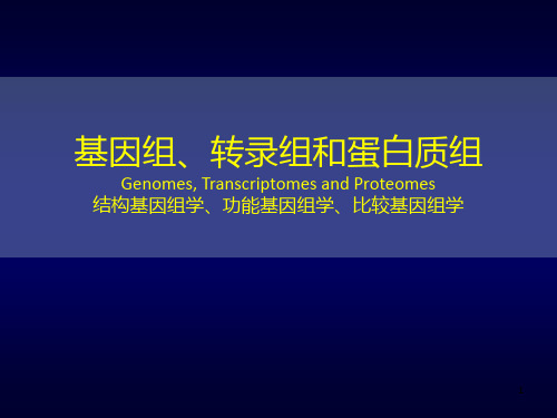 基因组、转录组和蛋白组