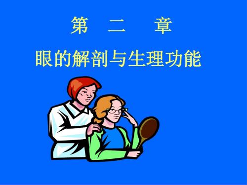 中医眼科学教学课件02眼的解剖与生理