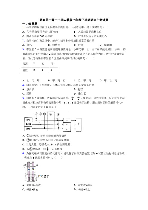 北京第一零一中学人教版七年级下学期期末生物试题