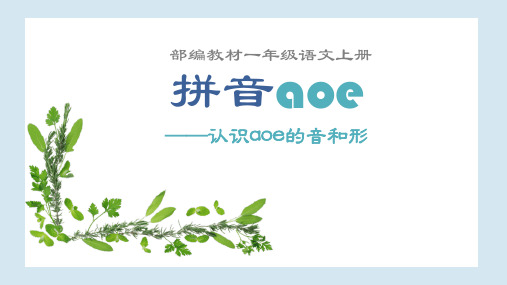 部编版一年级语文上册汉语拼音 1.a o e   课件(共23张PPT)