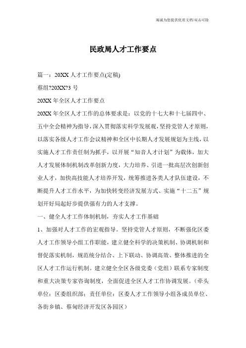 民政局人才工作要点