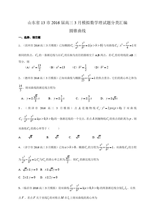 山东省高三3月模拟数学理试题分类汇编：圆锥曲线