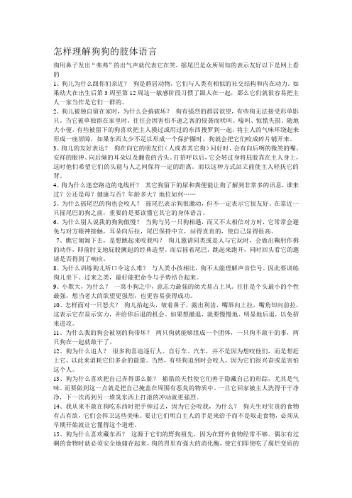 怎样理解狗狗的肢体语言