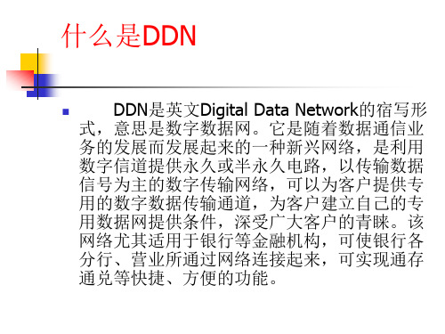 什么是DDN