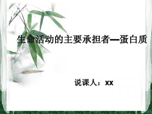 蛋白质说课课件