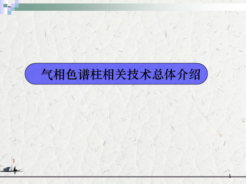 气相色谱柱相关技术总体介绍