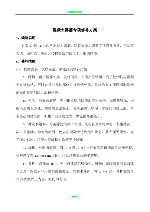 混凝土结构露筋专项修补方案