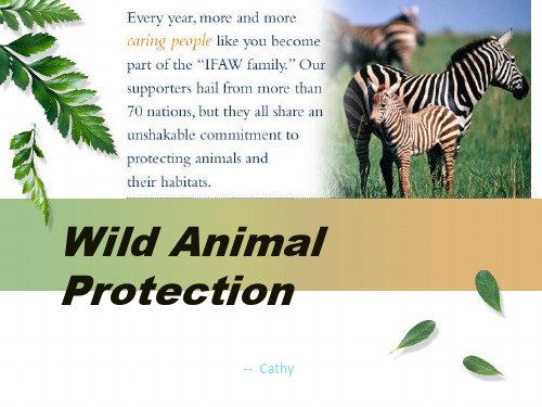 [英语学习]Wild Animal Protection动物保护-附讲词