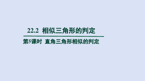 沪科九年级数学上册第22章2  第5课时 直角三角形相似的判定