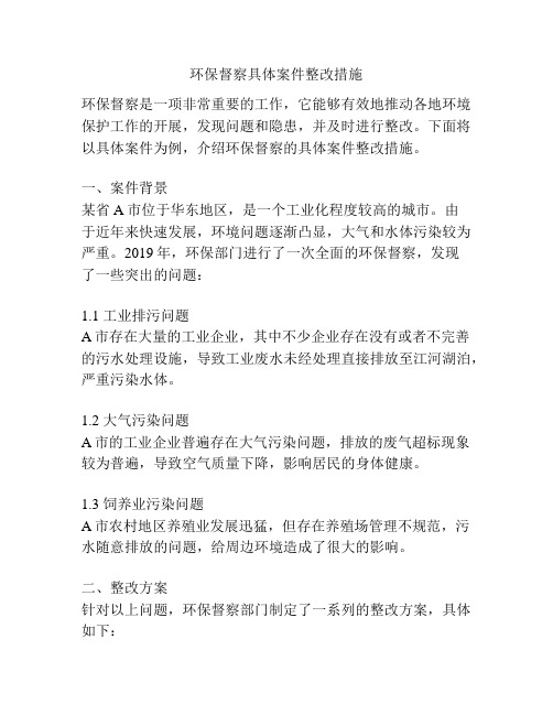 环保督察具体案件整改措施