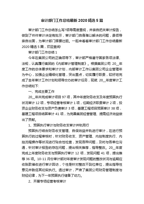 审计部门工作总结最新2020精选5篇