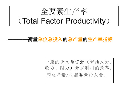 全要素生产率-精品文档