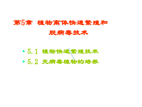 植物离体快速繁殖和脱病毒技术课件