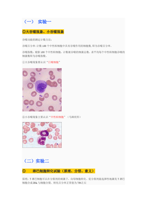 临床医学微生物实验知识点!!!(2)复习资料总结