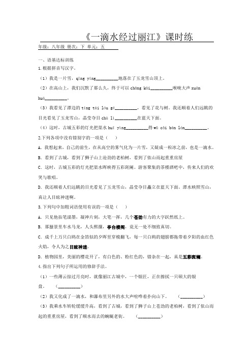 部编版八年级下册语文20《一滴水经过丽江》课时练习试题(含答案)