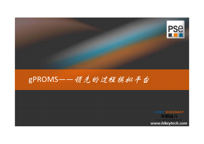 gPROMS软件模块和功能