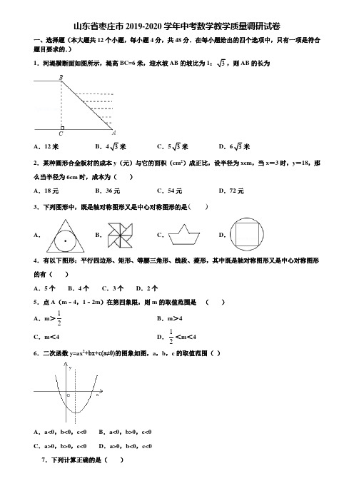 山东省枣庄市2019-2020学年中考数学教学质量调研试卷含解析