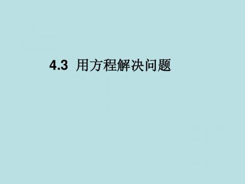 4.3用方程解决问题4 行