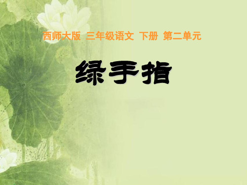 《绿手指》PPT课件(上课用)2