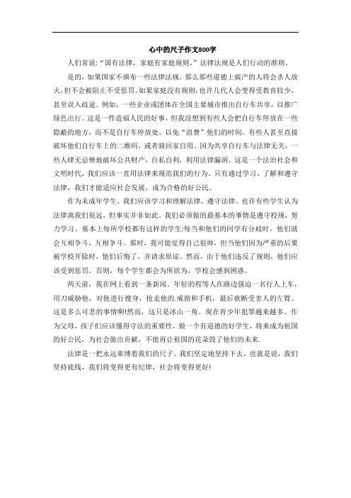 心中的尺子作文800字