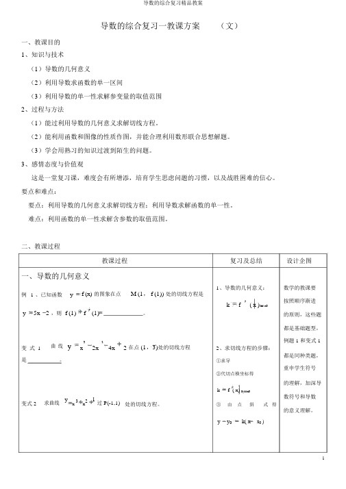 导数的综合复习精品教案