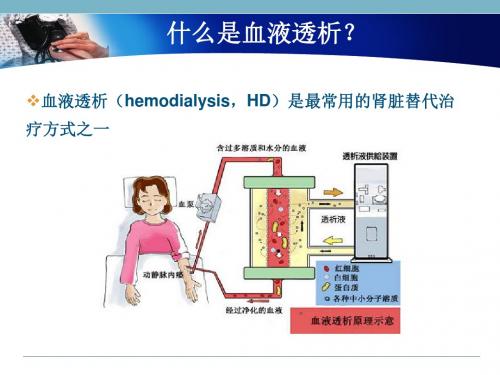 浅析血液透析患者的常规用药