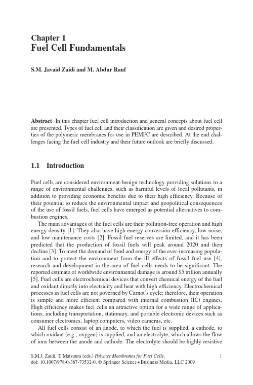 1Fuel Cell Fundamentals