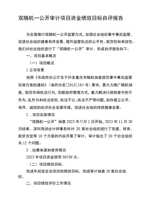 双随机一公开审计项目资金绩效目标自评报告