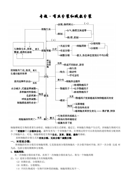 有丝分裂and减数分裂--知识点