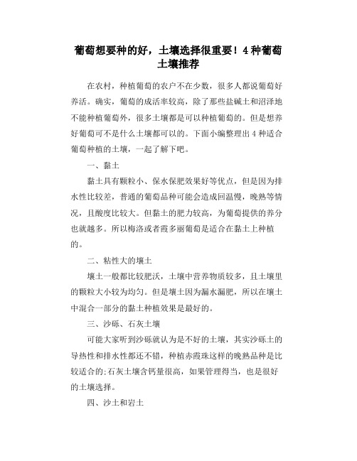 葡萄想要种的好,土壤选择很重要!4种葡萄土壤推荐