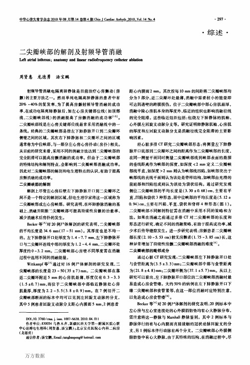 二尖瓣峡部的解剖及射频导管消融