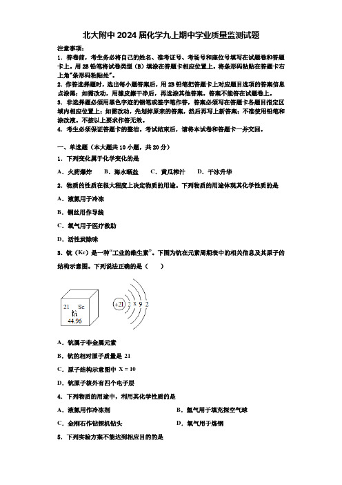 北大附中2024届化学九上期中学业质量监测试题含答案解析